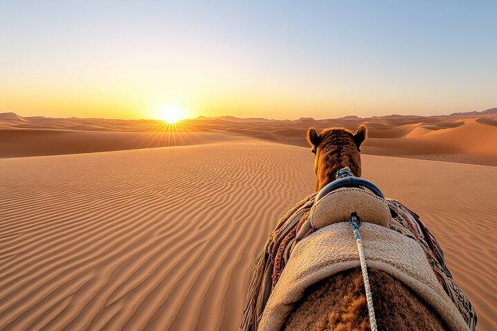 Red Dunes Morning Safari: Dune Bashing, Camel Ride & Quad Biking