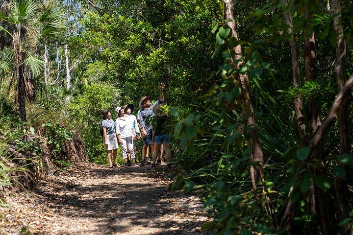 ETHICAL ADVENTURES - 1 Day premium Litchfield tour, small group