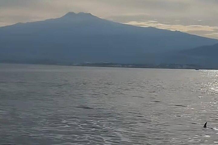 Excursions by boat: Gardens Naxos-Taormina-Isola Bella-DELFINI