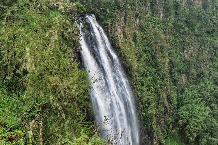 Aberdare National Park Tour From Nairobi