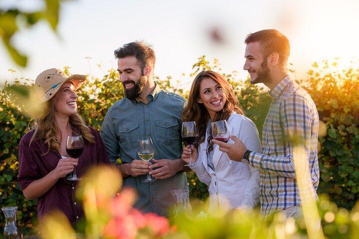 Wine Lovers - Bodega Bouza Experience!