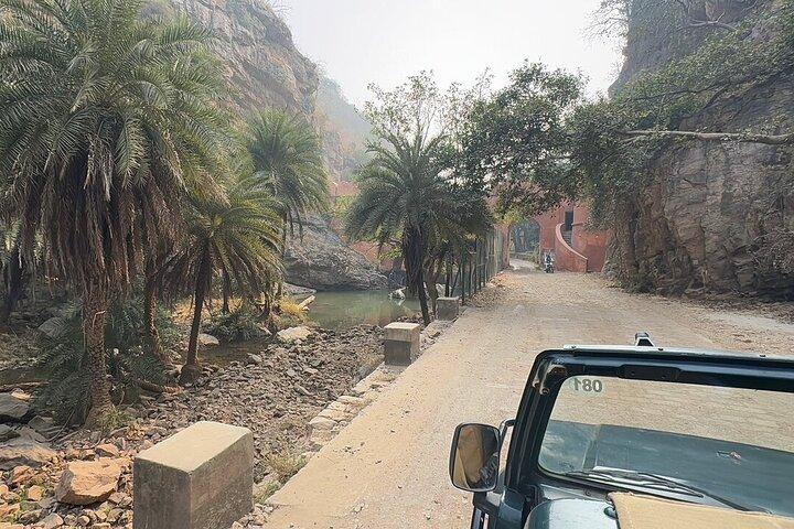 Ranthambore: Sharing Safari In Canter Or Gypsy Vehicle All Incl.