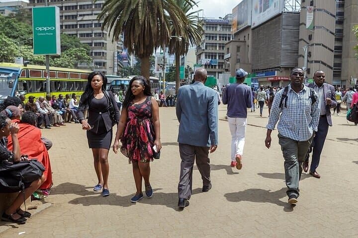 Nairobi City Sightseeing Guided Tour with Lunch at Carnivore