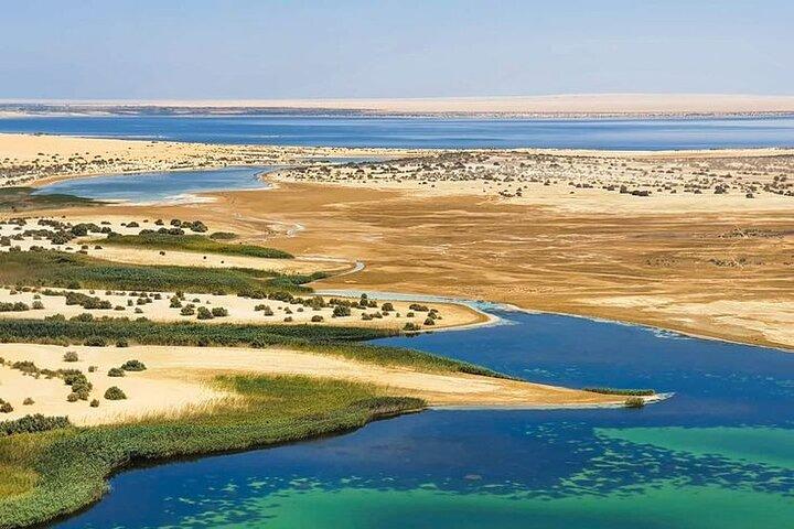 One-Day Fayoum Exploration