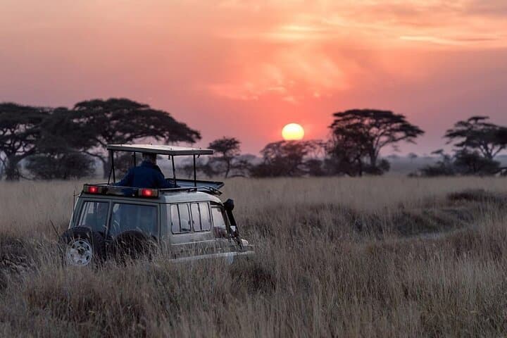 Night Game Drive at Nairobi National Park