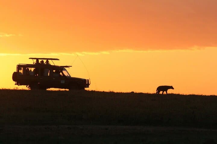 Night Game Drive at Nairobi National Park