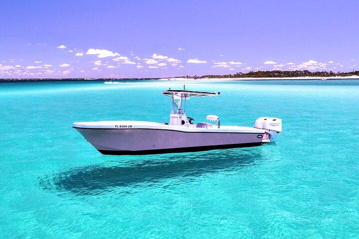 3 Hour Dolphin Tour and Snorkeling in Shell Island