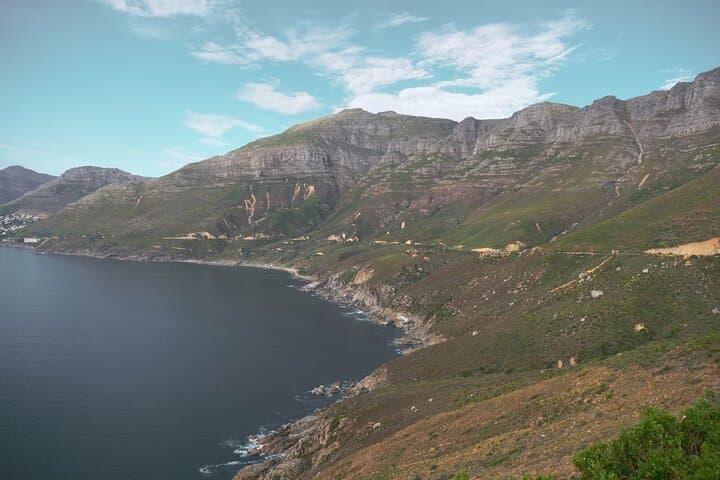 Half day African Penguin Tour