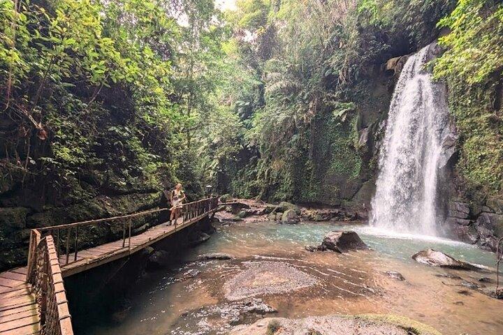 Ubud Private Tour: Tirta Empul, Rice Terrace & Monkey Forest