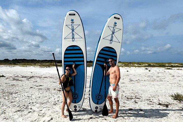 4 Hour Clearwater Beach Private Pontoon Boat Tour
