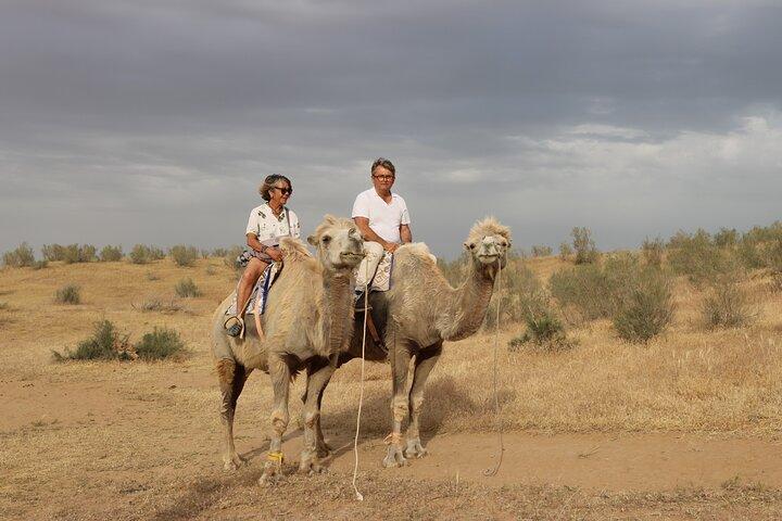 2 Day Aydar Lake Yurt Camping Tour from Bukhara