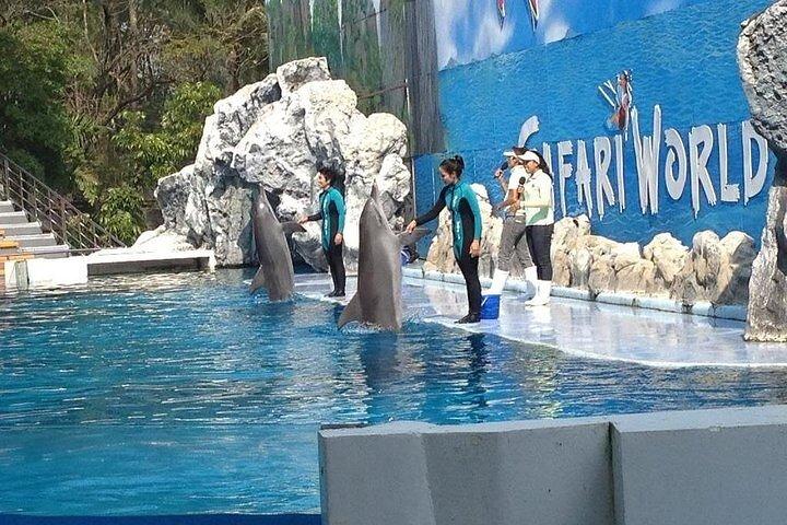 Safari World & Marine Park Bangkok Full-Day with Lunch + Transfer