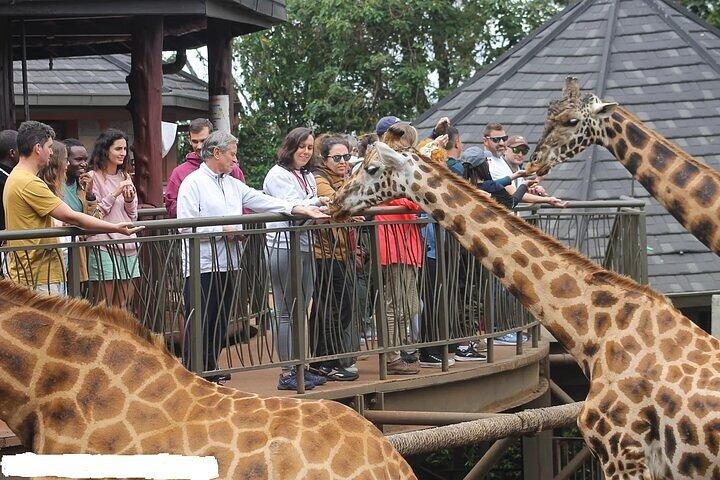 Karen Blixen Museum, Giraffe Center, Beads and Bomas of Kenya