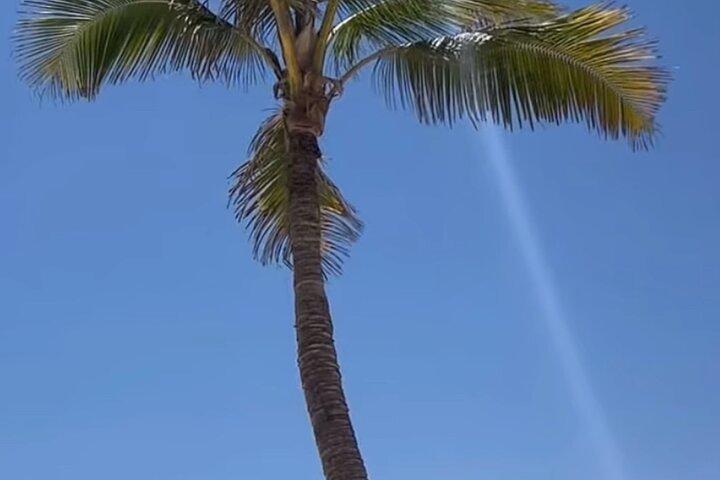 West Salalah Beaches and Blowholes(private tour)