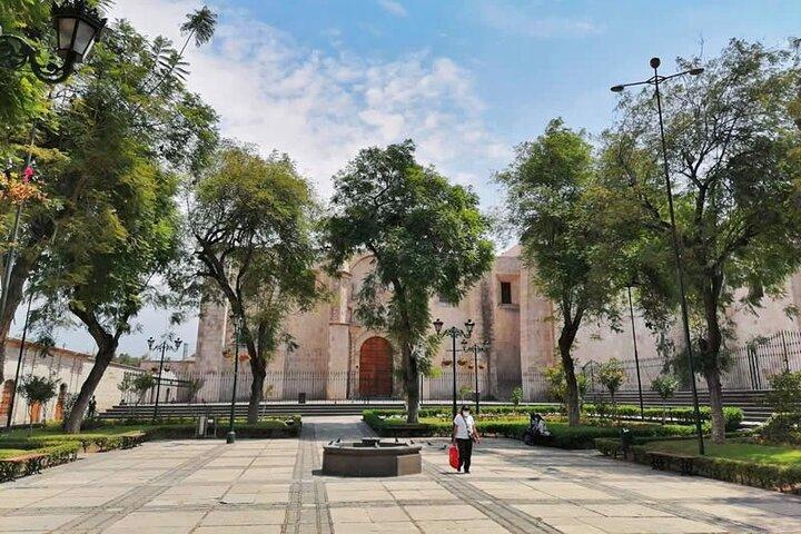Walking City tour including the Monastery of Santa Catalina
