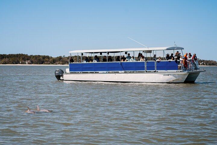 Hilton Head Island Dolphin Boat Cruise