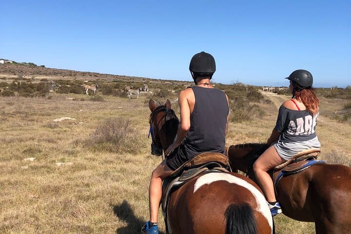 Horse safari and culture experience for all levels of riders