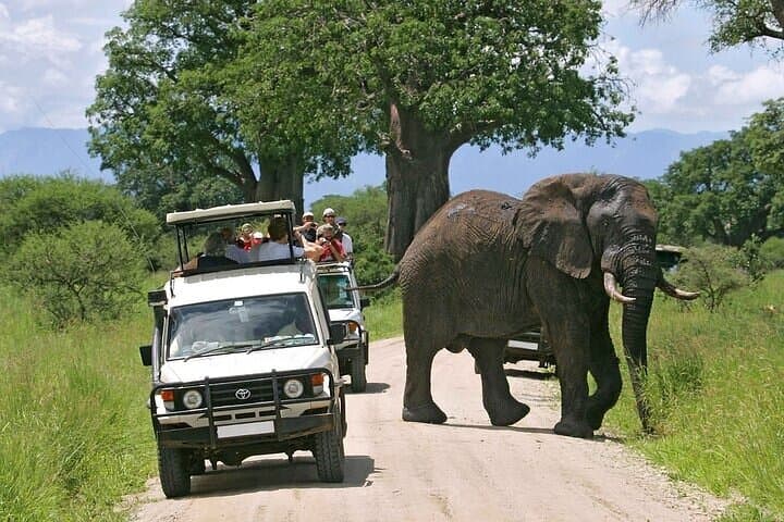4 Days Masai Mara and Lake Naivasha Hell's Gate Adventure