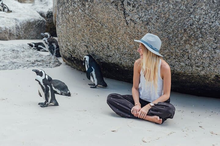 Cape Of Good Hope Instagram Small Group Tour with Penguins