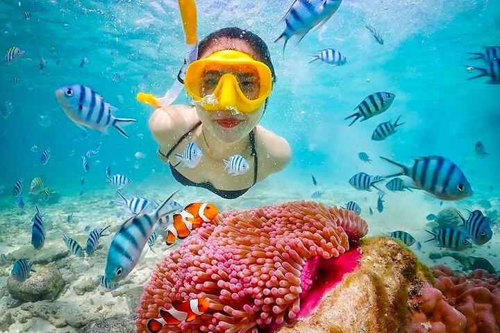 Bali Snorkeling at Blue Lagoon Beach with All-Inclusive Tour