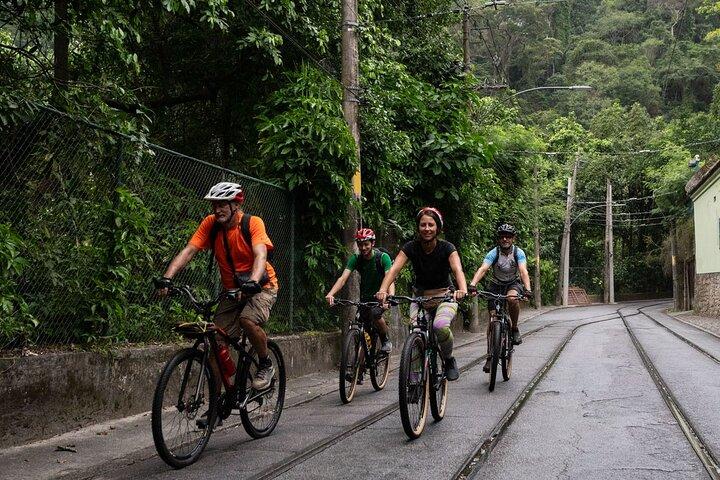 Rio Rainforest Ride An Unforgettable Mountain Bike Tour