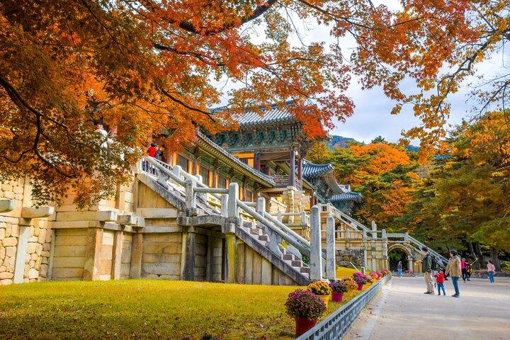 Discover Round Korea in 7days: All-Inclusive Experience