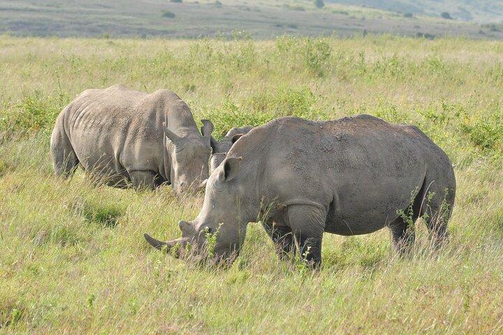 Nairobi Full Day Group Joining Tour