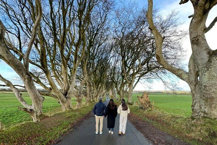 Private Luxury Small Group Giant’s Causeway Tour from Belfast