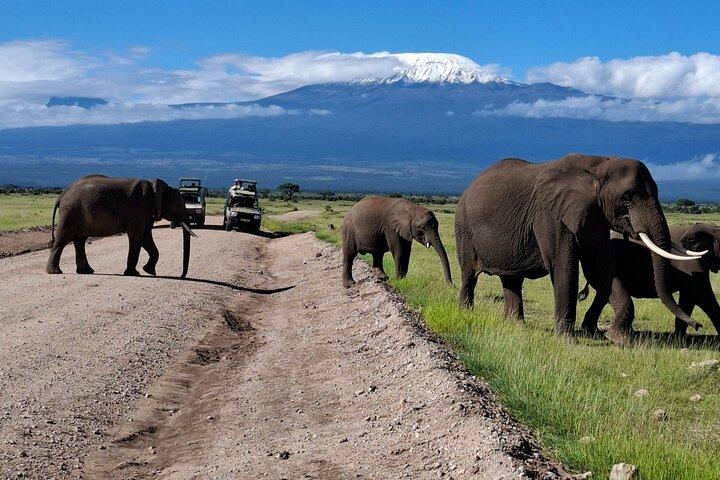 Private Adventure: Amboseli Park & Kilimanjaro views Day tour