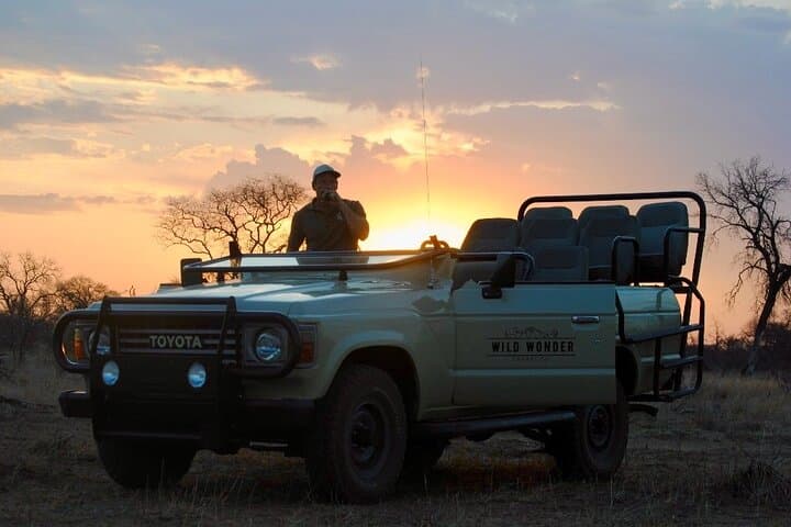 Safari Game Drive in Private Reserve out of Hoedspruit