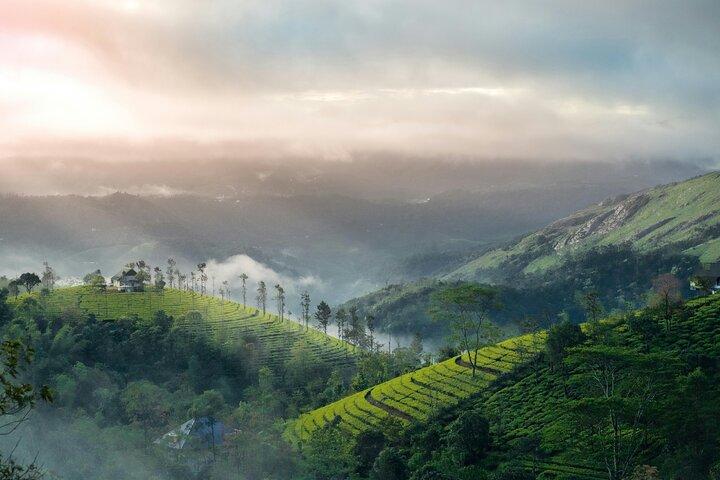 4 Days Private Kerala Tour -Kochi, Munnar, Thekkady with 3* Hotel