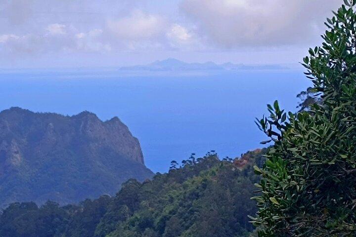Madeira East Island Tour with Levada Walk and Lunch