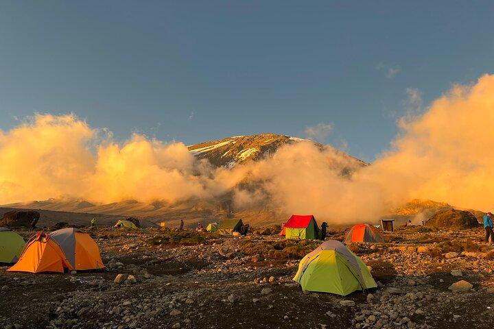 Mount Kilimanjaro Private Tour by Hiking
