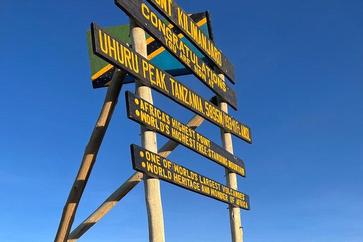 Mount Kilimanjaro Private Tour by Hiking