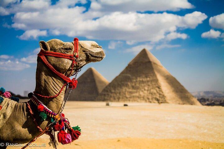 Private Day Tour to the Grand Egyptian Museum, Pyramids