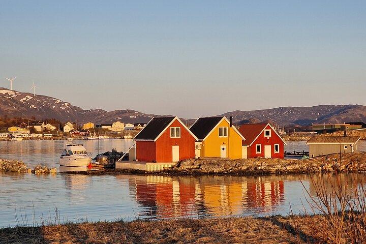 Tromsø: Midnight Sun Fjord Adventure with Seaside Lunch