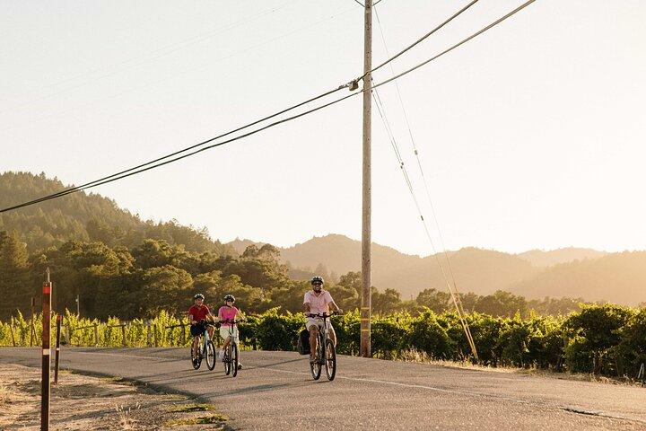Half Day Guided Electric Bike Wine Tasting Tour with Lunch