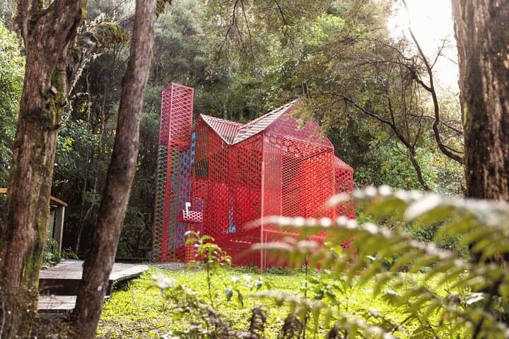 Private Matakana Personalised Tour