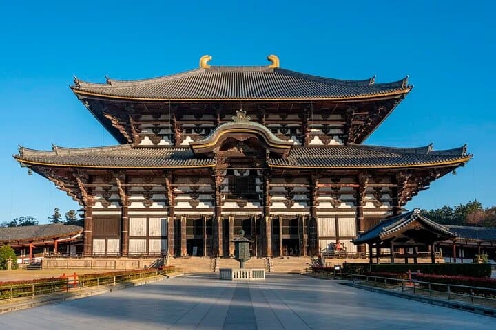 Nara Afternoon guided Tour from Osaka or Kyoto