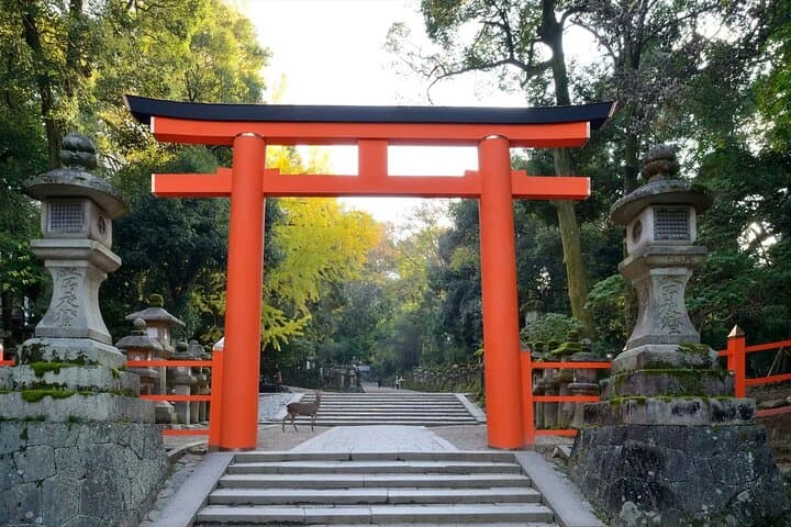 Nara Afternoon guided Tour from Osaka or Kyoto