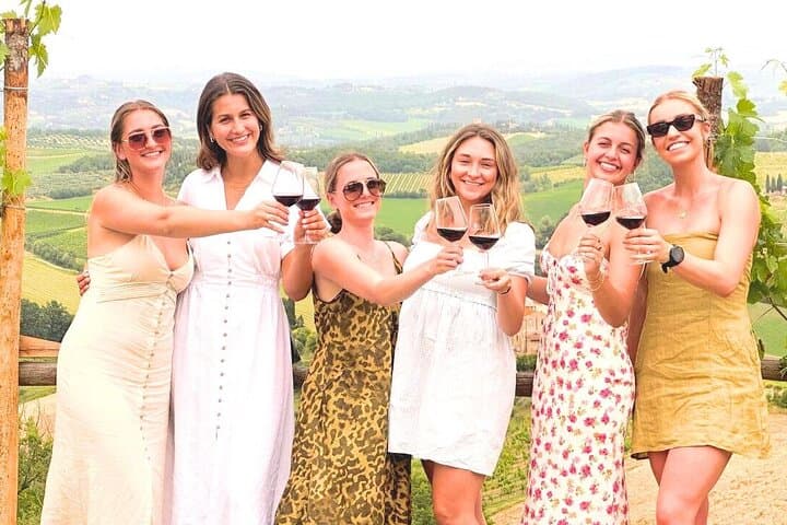 Tuscany Wine Tour: 2 Wineries & San Gimignano from Rome