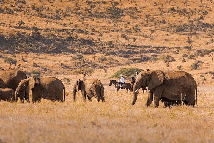 Wings Over Masai Mara A FLY IN SAFARI EXPERIENCE