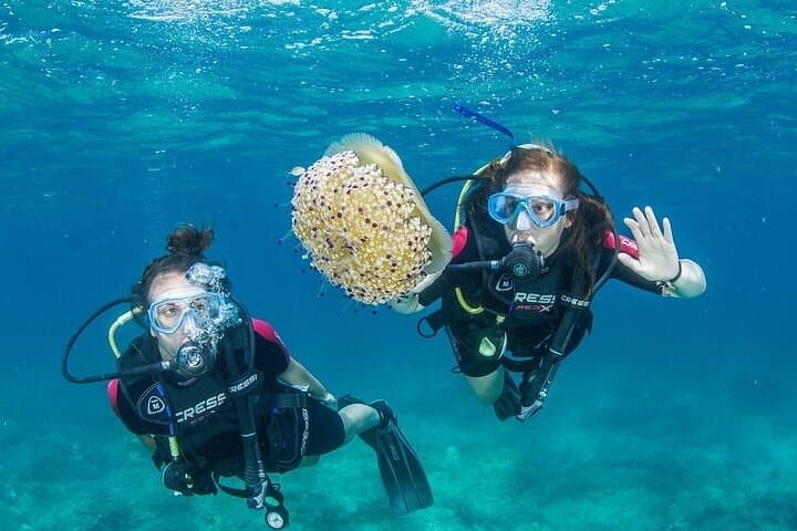 Discover Chania Underwater–2 Easy Dives with Free Photos & Pickup
