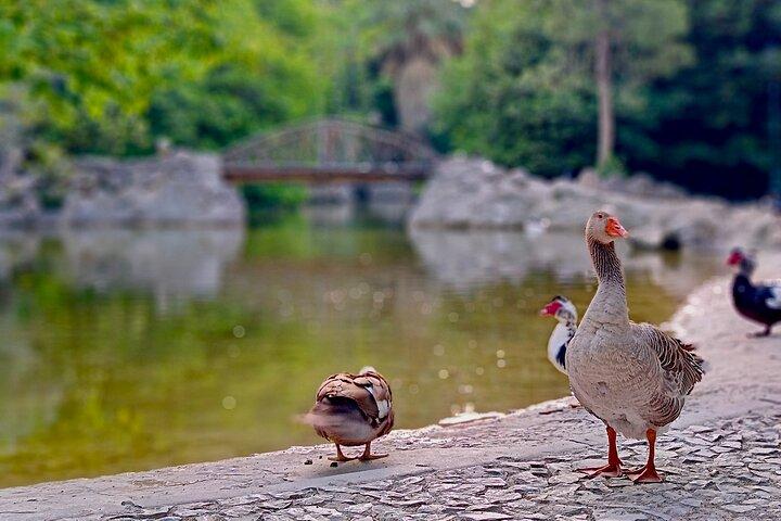 Sunrise Pilates & Calisthenics at National Garden