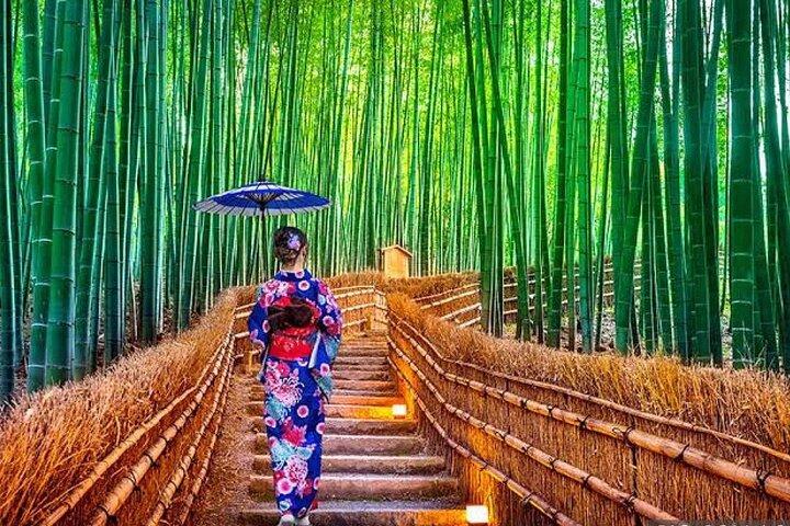 From Osaka/Kyoto : Private Kyoto & Nara Day Trip with Pickup