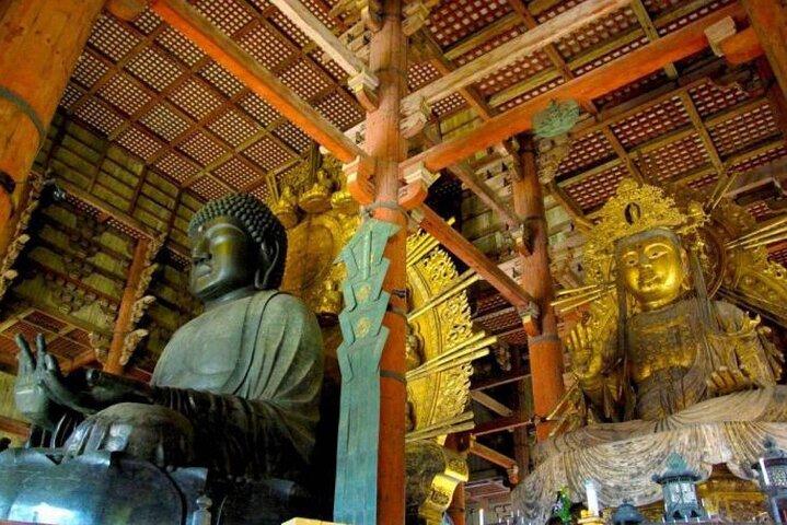 From Osaka/Kyoto : Private Kyoto & Nara Day Trip with Pickup
