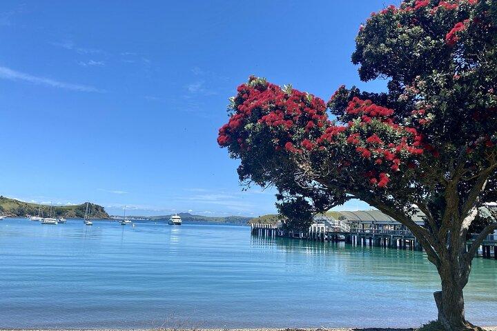 Waiheke Island Gourmet Food and Wine Tour