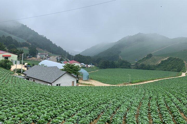 Day trip from Seoul to Gangneung: East Coast Bliss