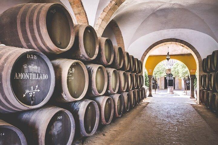 Jerez City Guided Tour with Winery Visit and Tasting of 3 wines