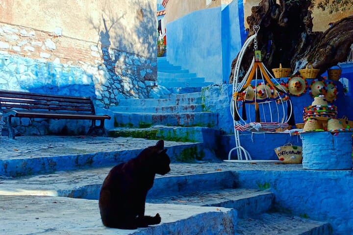 Chefchaouen Day Trip from Fez Group Tour